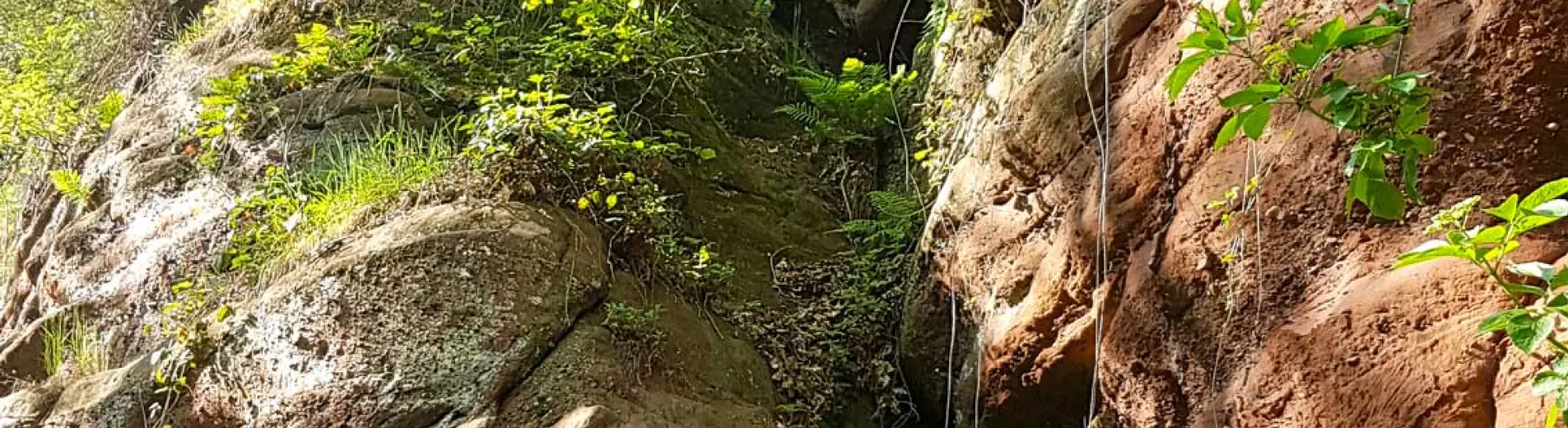 Umgebung des Hotels Sonnenhof im Dreiländereck Umgebung des Hotels Sonnenhof im Dreiländereck